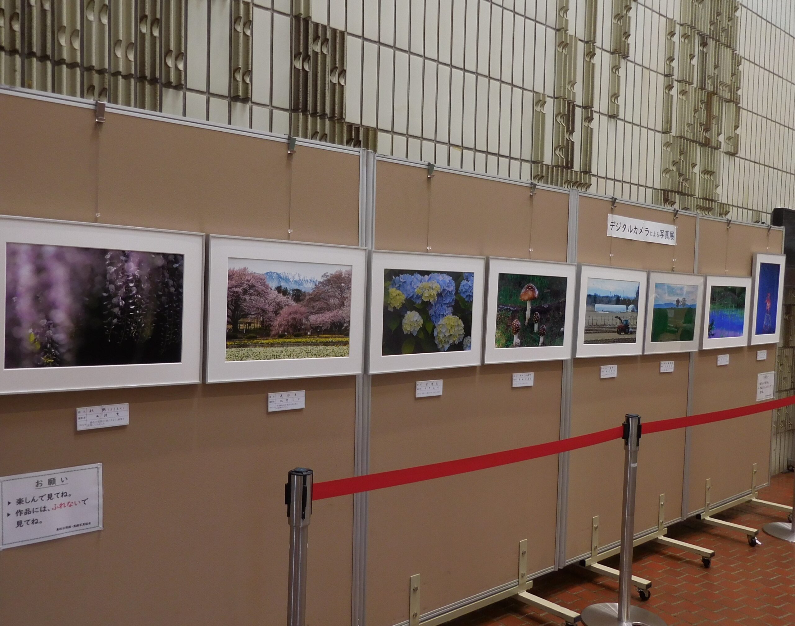 「島松公民館写真展」を開催しました